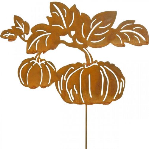 Floristik24 Estaca de jardín Calabaza Óxido Decoración de jardín Otoño Metal 57cm