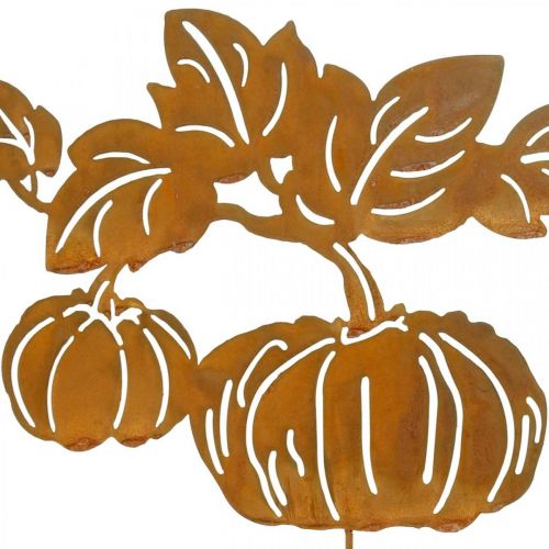 Floristik24 Estaca de jardín Calabaza Óxido Decoración de jardín Otoño Metal 57cm