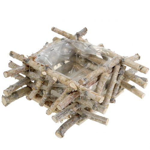 Floristik24 Ramas de abedul blanqueadas 28cm x 28cm H10cm