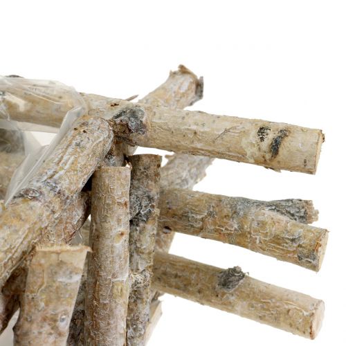 Floristik24 Ramas de abedul blanqueadas 28cm x 28cm H10cm