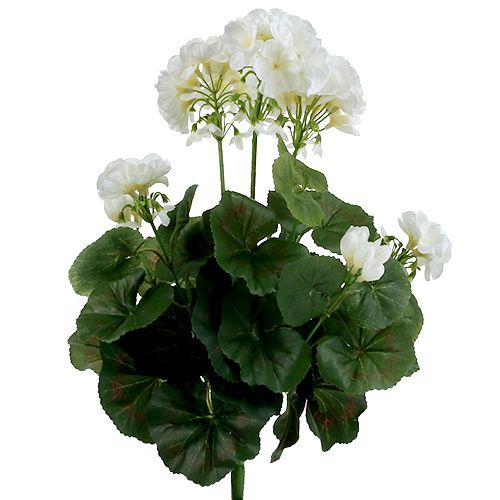 Artículo Arbusto de geranio blanco 38cm