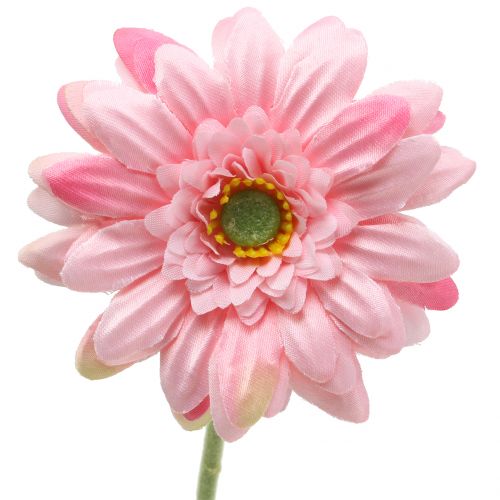 Floristik24 Gerbera rosa artificial 47cm 12pcs