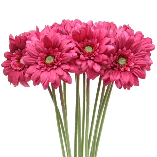 Gerbera Rosa 48cm 12pcs