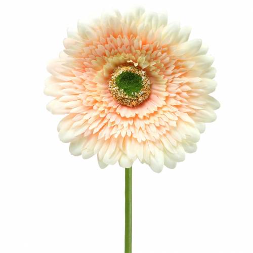 Floristik24 Gerbera durazno artificial 62cm 6pcs