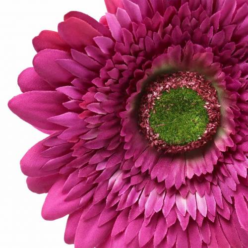Floristik24 Gerbera artificial púrpura 62cm 6pcs