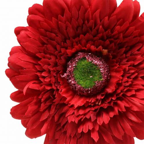 Floristik24 Gerbera artificial rojo 62cm 6pcs