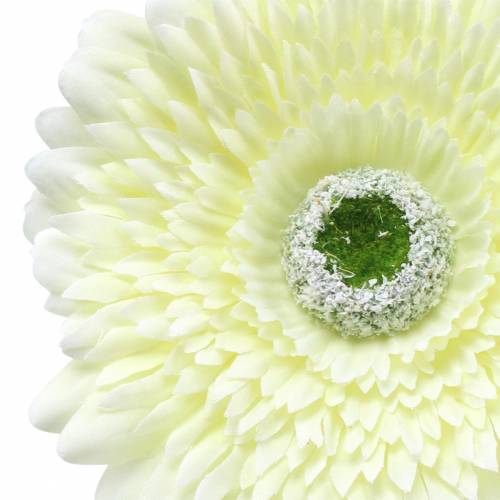 Artículo Gerbera artificial blanca 62cm 6uds