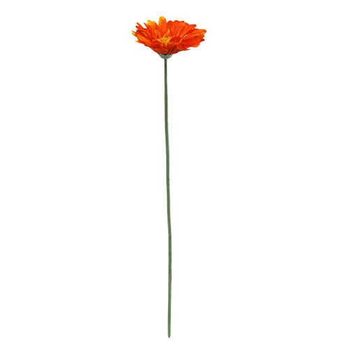 Floristik24 Gerbera Naranja Ø10cm L55cm 6pcs