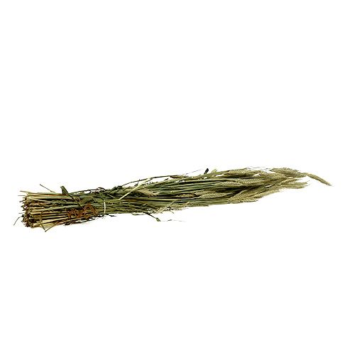 Artículo Decoración de grano de cebada decoración seca natural manojo de 80 cm 1 pieza