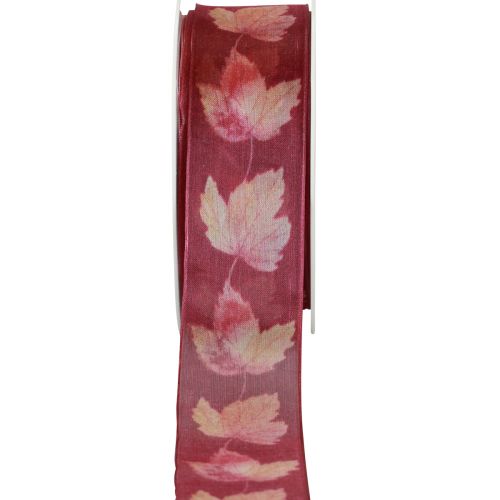 Floristik24 Cinta de regalo hojas de arce cinta morada otoño 40mm 15m