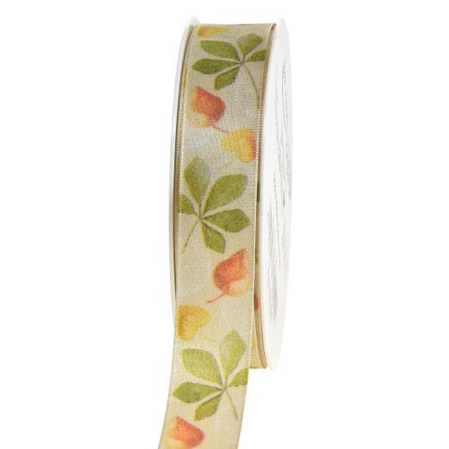 Floristik24 Cinta de regalo hojas de otoño verdes cinta decorativa otoño 25mm 20m