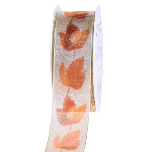 Floristik24 Cinta de regalo cinta de orillo hojas de arce otoñales 40mm 15m