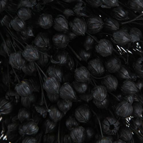 Floristik24 Corona de lino seco flores secas negro Ø25cm