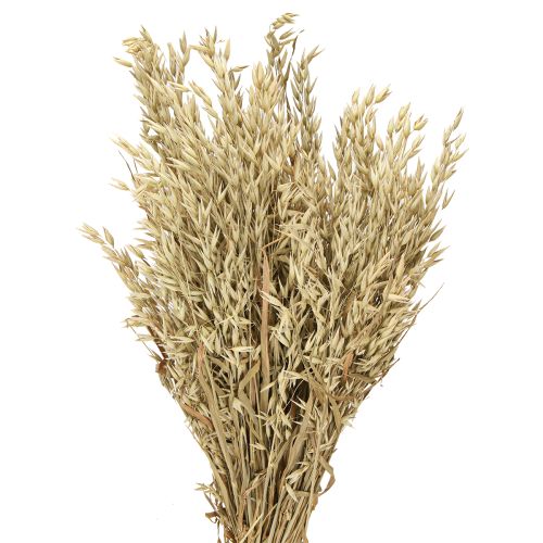 Floristik24 Avena seca decorativa, ramo de avena natural, decoración, 60 cm, 200 g