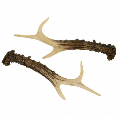 Floristik24 Deco asta decoración de casa de campo decoración de mesa 23cm 2pcs