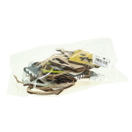 Regadera colgante decorativa 9cm x 12cm 8pcs | Floristik24.es