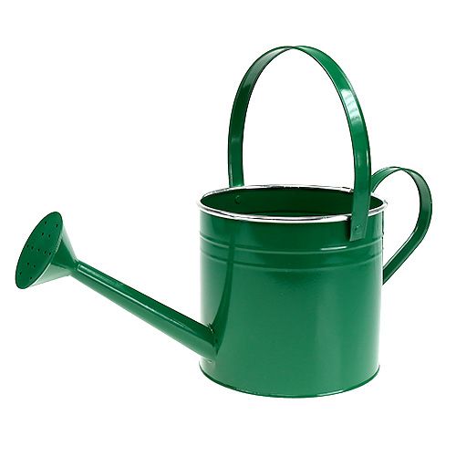 Floristik24 Regadera decorativa verde oscuro Ø20cm H18cm