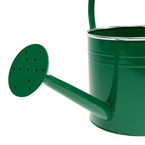 Floristik24 Regadera decorativa verde oscuro Ø20cm H18cm