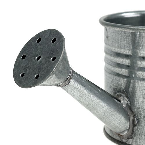 Floristik24 Regadera zinc brillante 7,5cm 8pcs