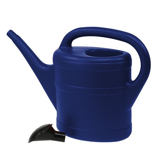 Floristik24 Regadera 5l azul