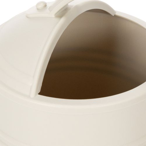 Artículo Regadera con cabezal de rosa extraíble. Ideal para plantas de interior y balcones. Blanca. 32 cm.