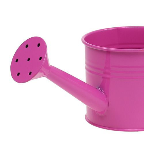 Artículo Regadera mezcla Ø11cm H9.5cm 8 piezas