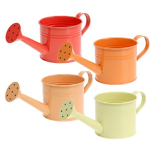 Regadera Orange Mix Ø11cm H9cm 8pcs