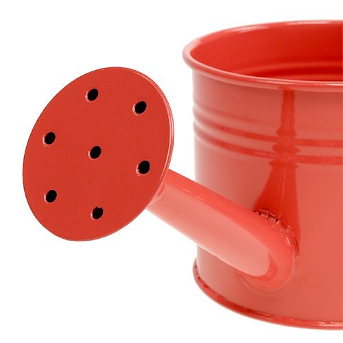 Floristik24 Regadera Orange Mix Ø11cm H9cm 8pcs