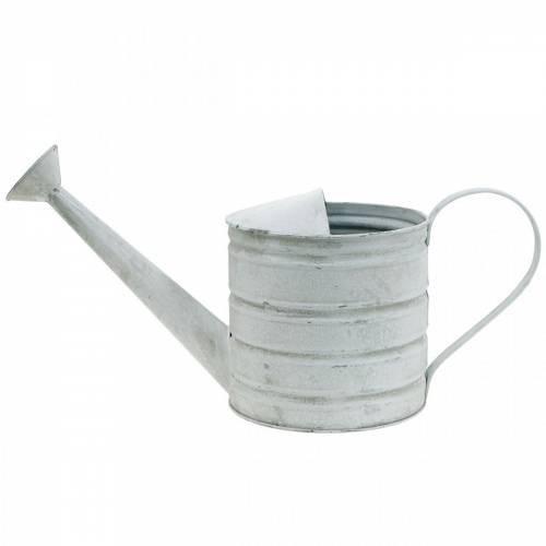 Floristik24 Regadera decorativa jardinera vintage de metal blanco lavado Al.16cm
