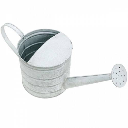 Floristik24 Regadera decorativa jardinera vintage de metal blanco lavado Al.16cm