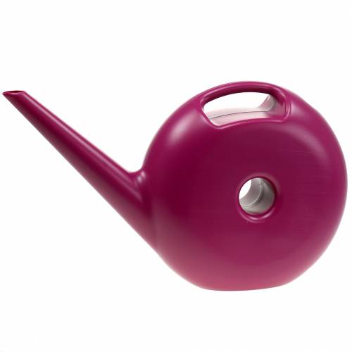 Floristik24 Regadera Donut Pink 4.8l