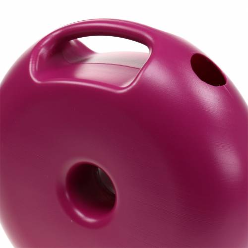 Floristik24 Regadera Donut Pink 4.8l