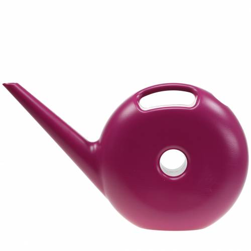 Floristik24 Regadera Donut Pink 4.8l