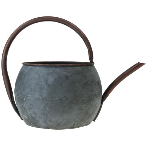 Floristik24 Regadera decorativa para plantar, regadera para plantar 29.5cm H22cm