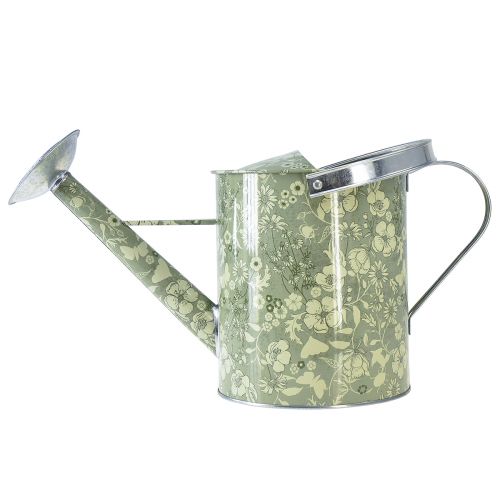 Artículo Regadera para plantar decoración flores verdes plateadas Ø18cm