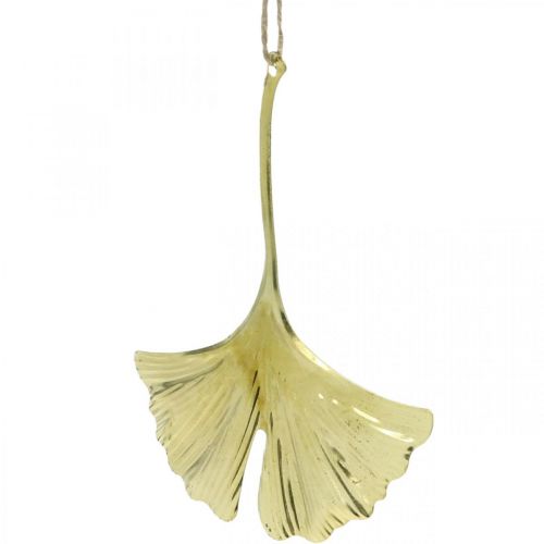 Artículo Colgante de hoja de Ginkgo, decoración de Adviento, decoración de metal para otoño Dorado L12cm 12 piezas