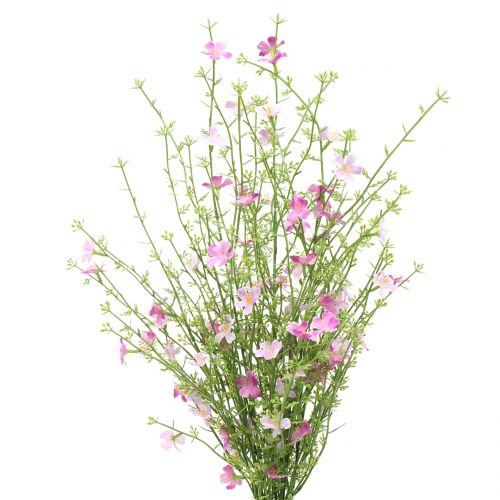 Floristik24 Tojo arbusto lila 60cm