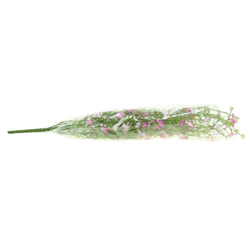 Floristik24 Tojo arbusto lila 60cm