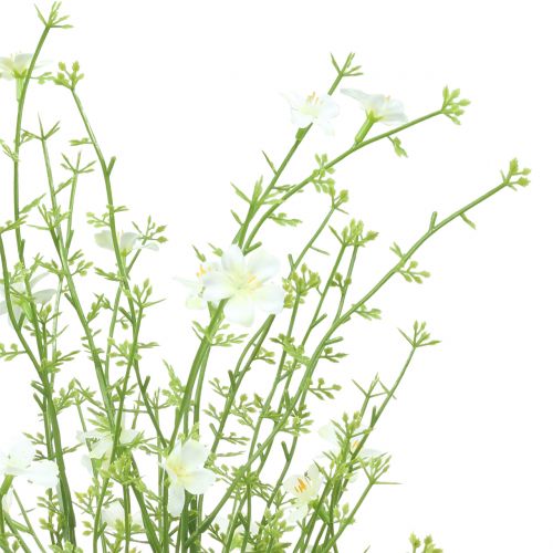 Floristik24 Tojo arbusto blanco 60cm