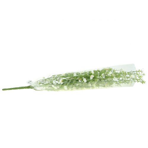 Floristik24 Tojo arbusto blanco 60cm