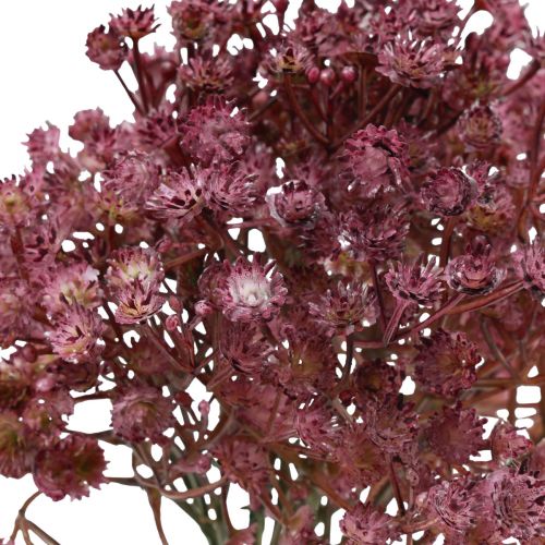 Artículo Gypsophila Gypsophila Gypsophila artificial violeta 35cm 5uds