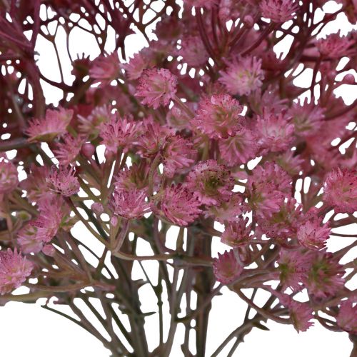 Floristik24 Gypsophila Gypsophila Gypsophila artificial rosa 35cm 5uds