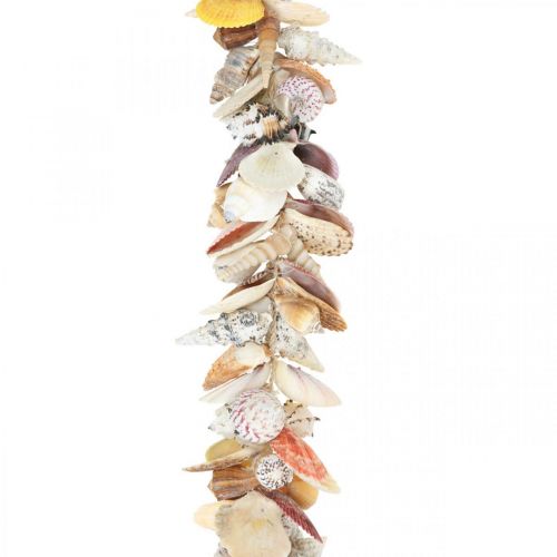 Artículo Percha decorativa con conchas, guirnalda marítima, conchas y caracoles 85cm