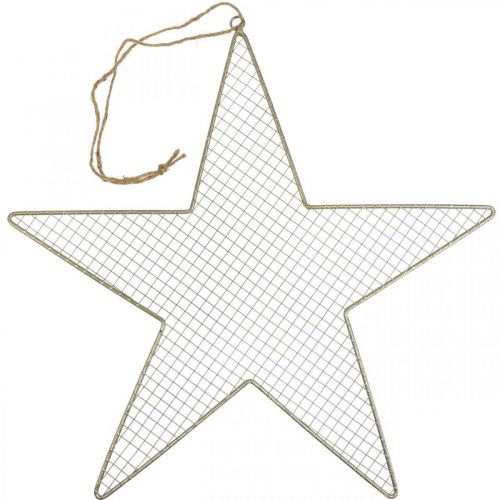 Floristik24 Malla Estrella Metálica Deco Estrella Metal Deco Oro Ø57cm