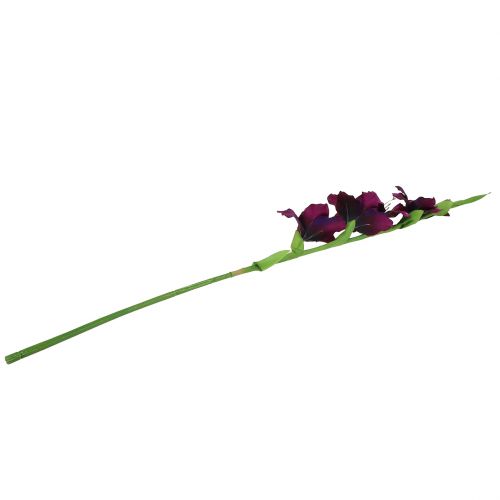 Floristik24 Gladiolo morado oscuro 86cm