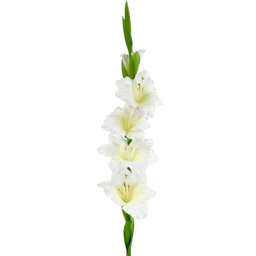 Floristik24 Gladiolo blanco 86cm artificial