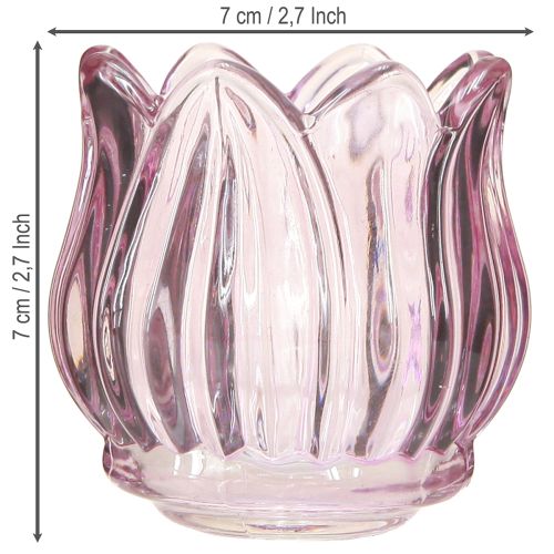 Artículo Portavelas de cristal tulipán morado Ø7cm H7cm 2uds