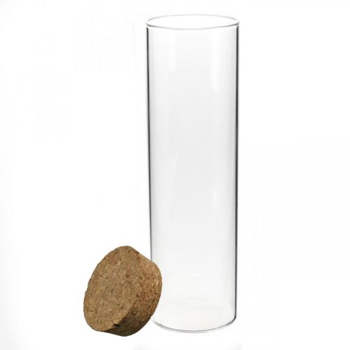 Floristik24 Vaso con tapa de corcho Cilindro de vidrio con corcho Claro Ø6cm H21cm