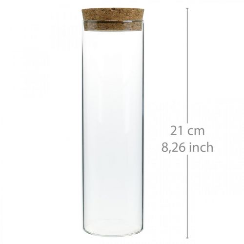 Floristik24 Vaso con tapa de corcho Cilindro de vidrio con corcho Claro Ø6cm H21cm
