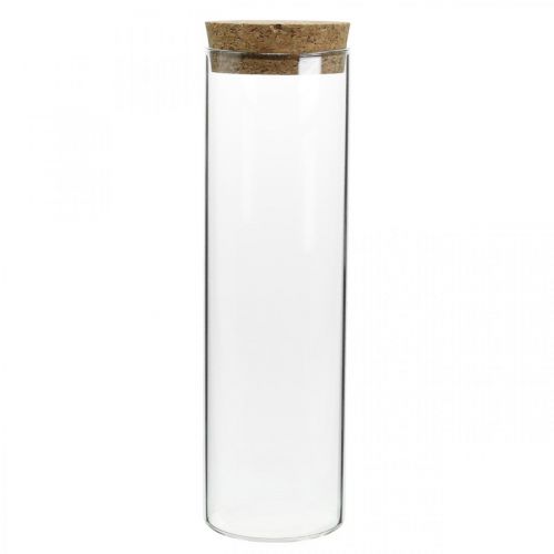 Floristik24 Vaso con tapa de corcho Cilindro de vidrio con corcho Claro Ø6cm H21cm